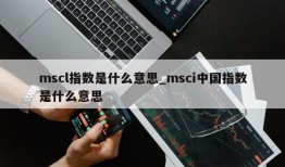 mscl指数是什么意思_msci中国指数是什么意思