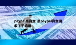 paypal黑资金-黑paypal资金回收了干嘛用