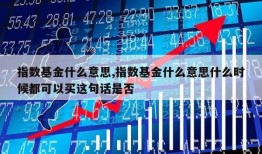 指数基金什么意思,指数基金什么意思什么时候都可以买这句话是否