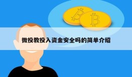 微投教投入资金安全吗的简单介绍