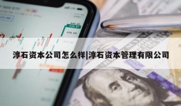 淳石资本公司怎么样|淳石资本管理有限公司