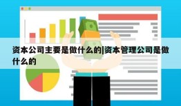 资本公司主要是做什么的|资本管理公司是做什么的