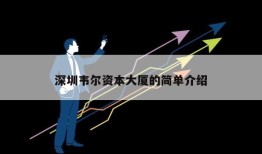 深圳韦尔资本大厦的简单介绍