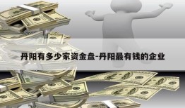 丹阳有多少家资金盘-丹阳最有钱的企业