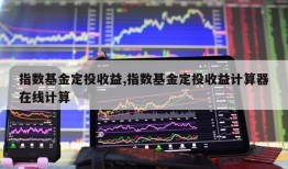 指数基金定投收益,指数基金定投收益计算器在线计算