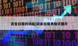 资金日报的功能|资金日报表格式图片