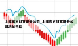 上海东方财富证券公司_上海东方财富证券公司地址电话