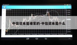 中信资本是谁家的-中信资本是什么