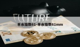 羊水指数61-羊水指数61mm