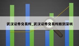 武汉证券交易所_武汉证券交易所搬到深圳