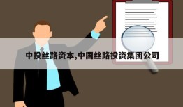 中投丝路资本,中国丝路投资集团公司