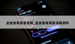 企业自有资金证明_企业自有资金证明资料