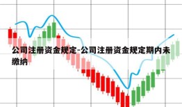 公司注册资金规定-公司注册资金规定期内未缴纳