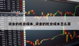 资金的机会成本_资金的机会成本怎么算