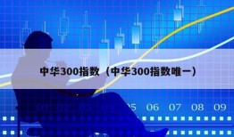 中华300指数（中华300指数唯一）