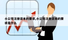 小公司注册资本的要求,小公司注册资本的要求是什么