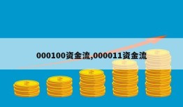 000100资金流,000011资金流