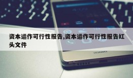 资本运作可行性报告,资本运作可行性报告红头文件