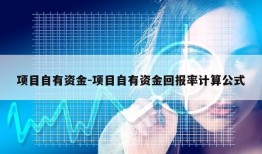 项目自有资金-项目自有资金回报率计算公式