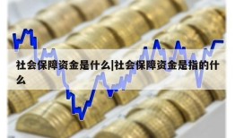 社会保障资金是什么|社会保障资金是指的什么