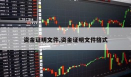 资金证明文件,资金证明文件格式