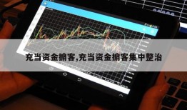 充当资金掮客,充当资金掮客集中整治