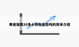 黄疸指数20多小孩有危险吗的简单介绍