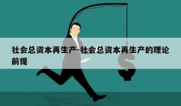 社会总资本再生产-社会总资本再生产的理论前提