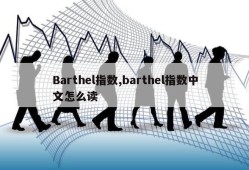 Barthel指数,barthel指数中文怎么读