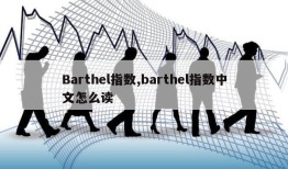 Barthel指数,barthel指数中文怎么读