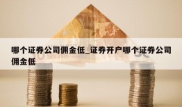 哪个证券公司佣金低_证券开户哪个证券公司佣金低