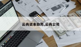 云尚资本白苏,云尚公司