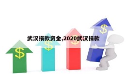 武汉捐款资金,2020武汉捐款