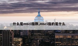 什么是msci指数,msci指的是什么