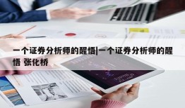 一个证券分析师的醒悟|一个证券分析师的醒悟 张化桥