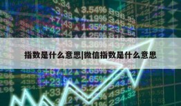 指数是什么意思|微信指数是什么意思