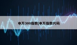 申万300指数|申万指数代码