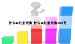 什么叫注册资金-什么叫注册资金500万