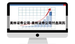 美林证券公司-美林证券公司付鑫简历