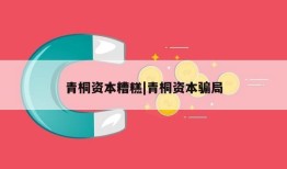 青桐资本糟糕|青桐资本骗局