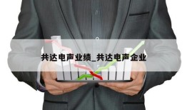 共达电声业绩_共达电声企业