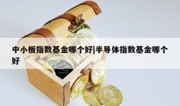 中小板指数基金哪个好|半导体指数基金哪个好