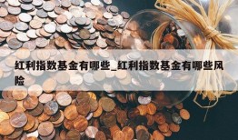 红利指数基金有哪些_红利指数基金有哪些风险