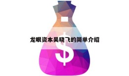 龙眼资本吴晓飞的简单介绍