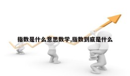 指数是什么意思数学,指数到底是什么