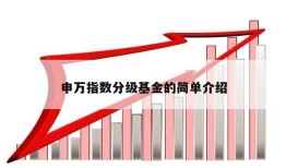 申万指数分级基金的简单介绍