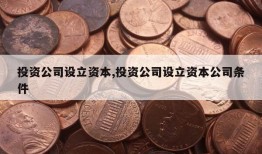 投资公司设立资本,投资公司设立资本公司条件