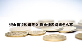 资金情况说明范文|资金情况说明怎么写