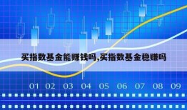 买指数基金能赚钱吗,买指数基金稳赚吗