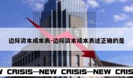 边际资本成本表-边际资本成本表述正确的是